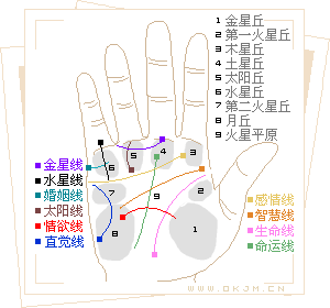 手相：看你手中有没有富贵吉祥的符号