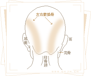 骨相大全—左右撒插骨