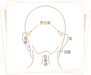 骨相大全—罗汉骨