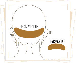 骨相大全—两弦明月骨