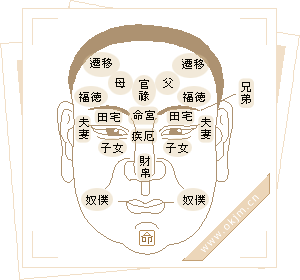 面相12宫看你爱情